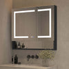 Mirror Luxe 36" Double Door Mirrored LED Medicine Cabinet, Natural Anodized Aluminum