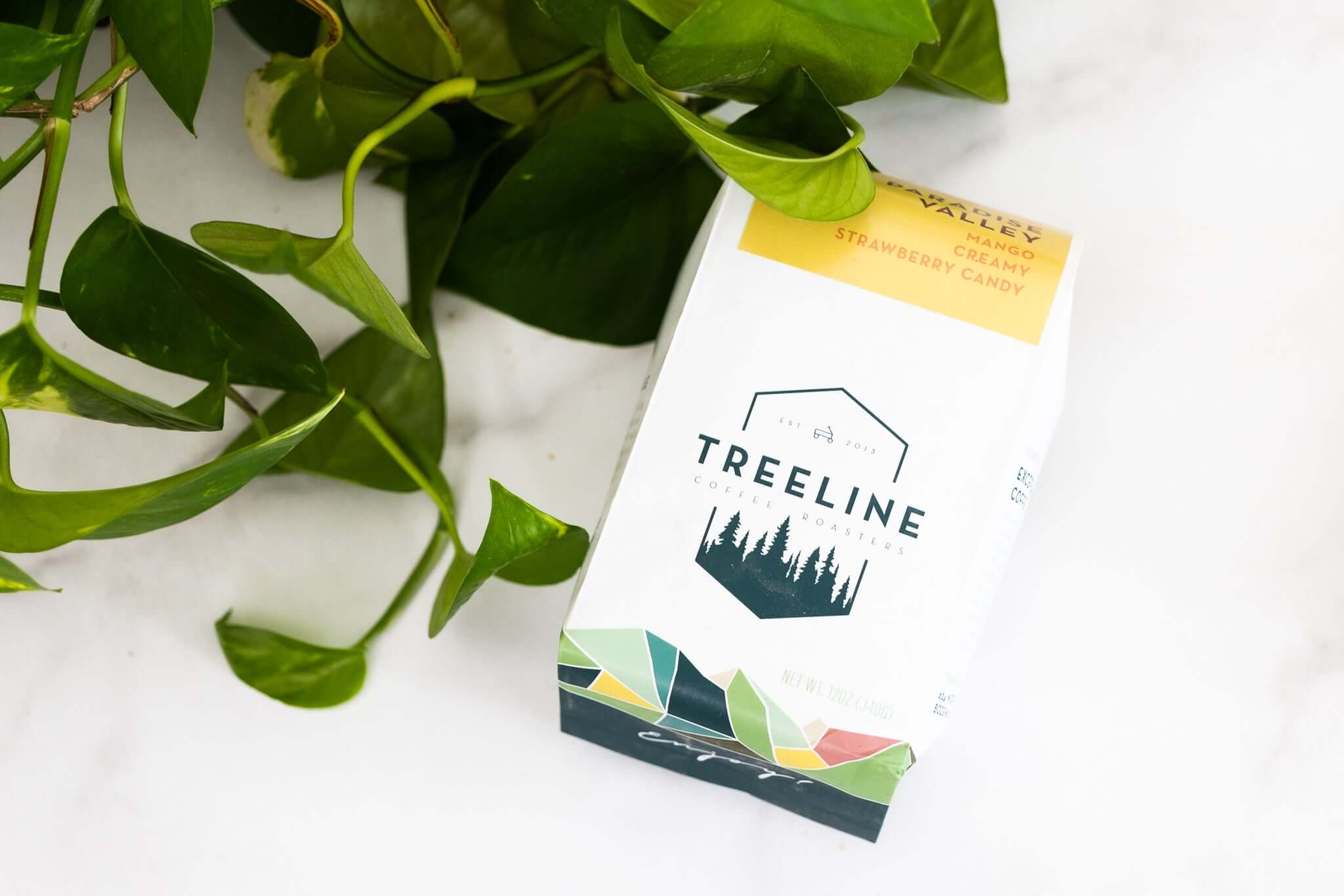 Treeline Coffee Roasters