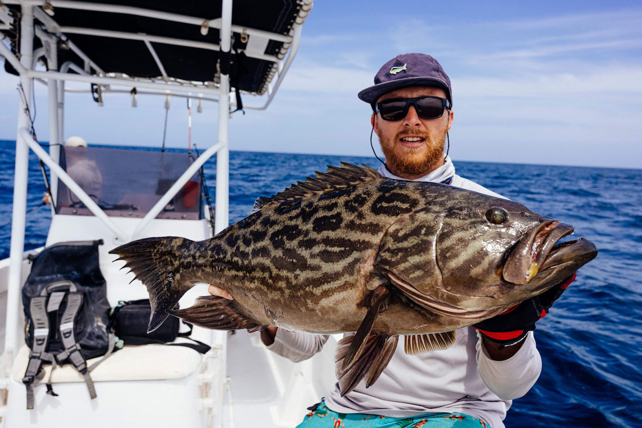 A big Broomtail Grouper caught Slow Jig Fishing