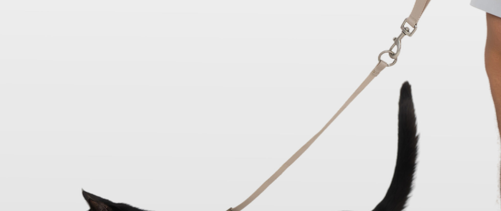 Slice 7.jpg__PID:da0680a2-39f6-41a5-935e-4f6b16c0f935
