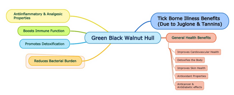 chart of General Health Benefits of Green Black Walnut Hull