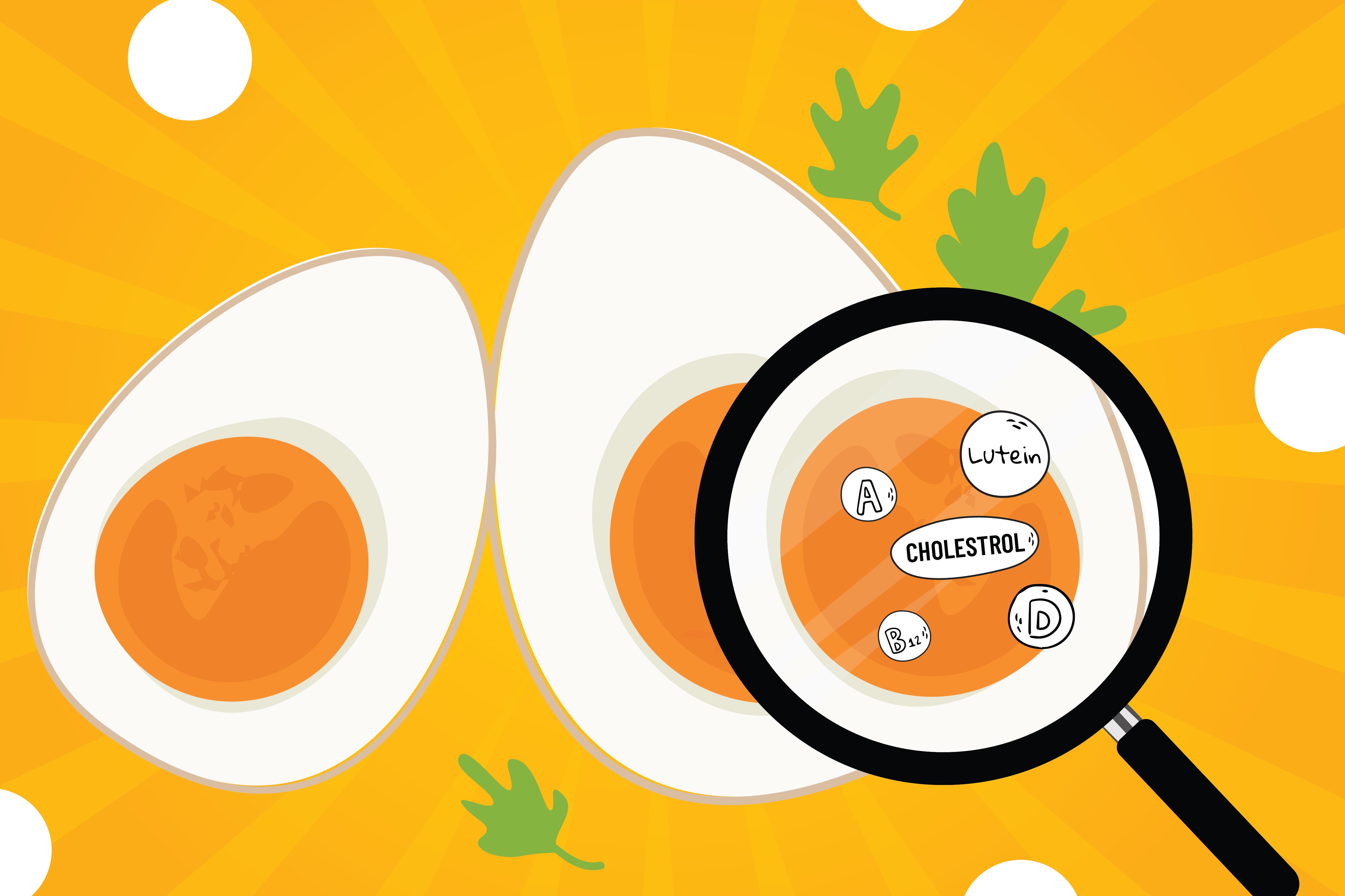 Cholesterol in Eggs