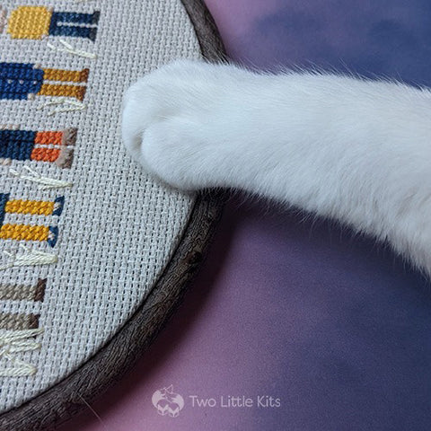 Close-up of a kitty paw on the midst of my photo shoot