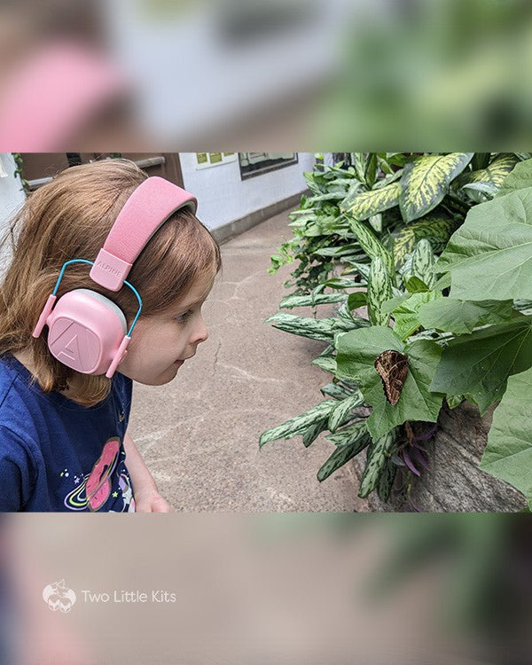 A young girl wearing pink headphones looking intently at a little [real] butterfly