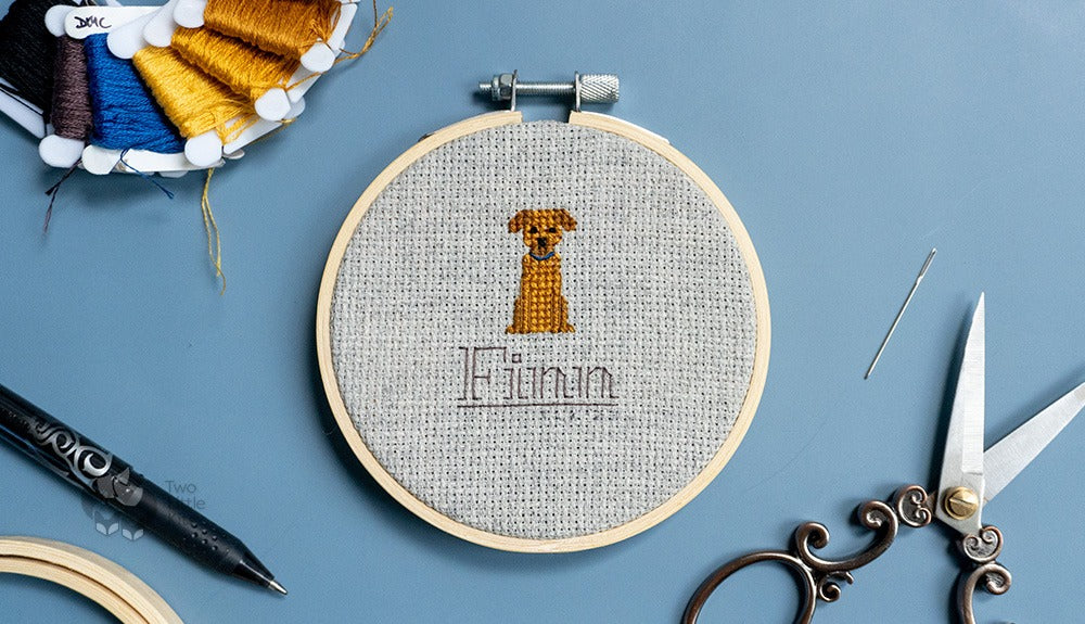 A 4" embroidery hoop depicting a orange-brown dog with a blue collar. Underneath him simply says "Finn".