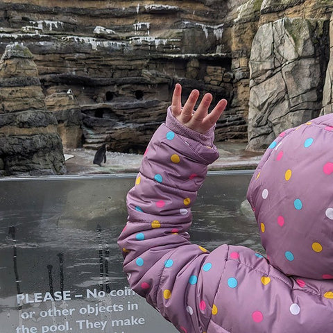 My daughter waving 'hello!' to the penguins