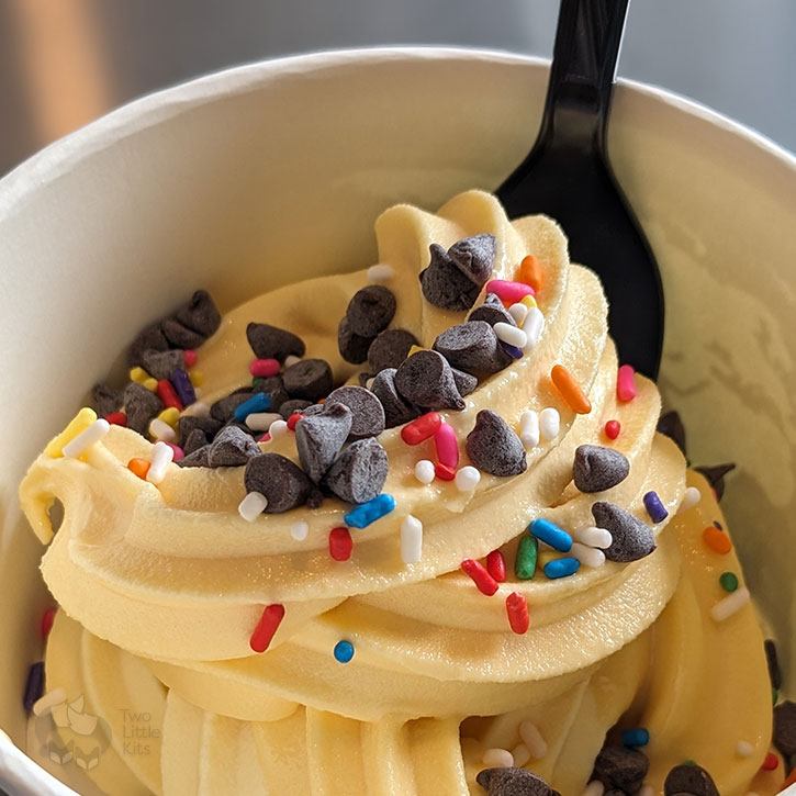 A vanilla-flavoured soft serve with a little bit of sweet toppings