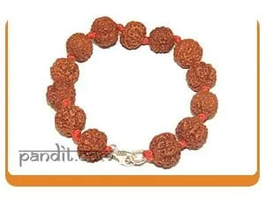 What are Rudraksh Mantras in hindi and english What are Rudraksh Mantras in hindi and english