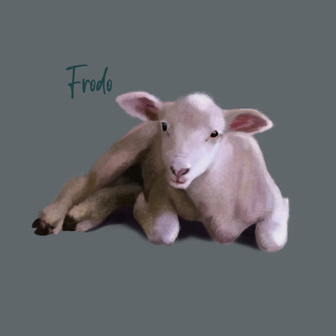 Lamb portrait