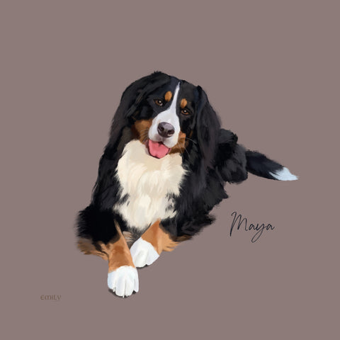 Bernese Mountain Dog - Portrait