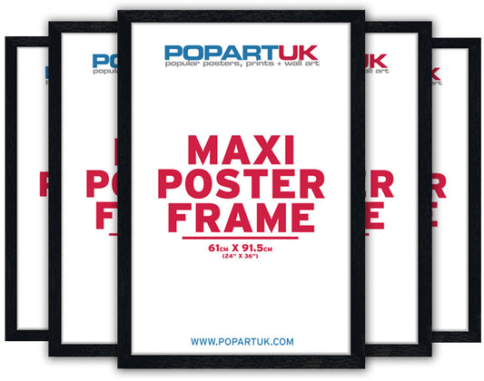 maxi poster frame