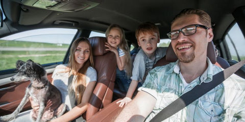 Family-Friendly Seat Covers