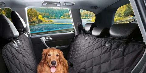 Pet-Friendly Car Chair Covers