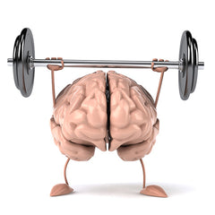 How HGH can improve Brain Function, hgh fragment 176-191 for sale