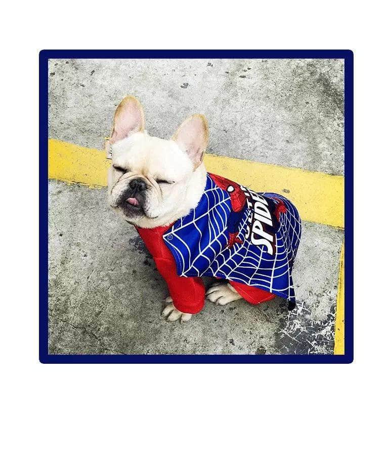 Dope Frenchie Spidey Costume Dog Clothing