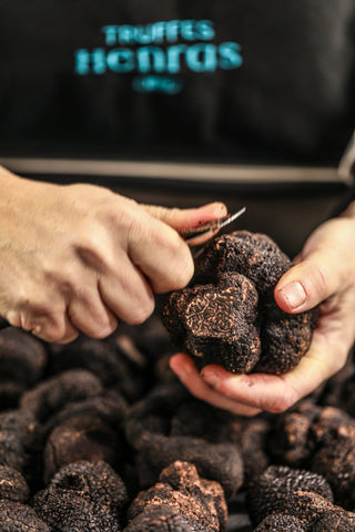 Ripe truffle