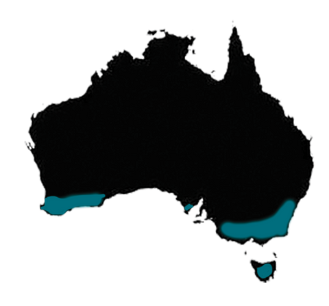 carte australie