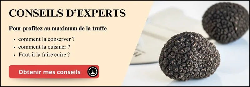 cta-conseil-truffe