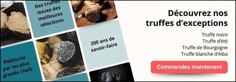 cta-truffe-collection