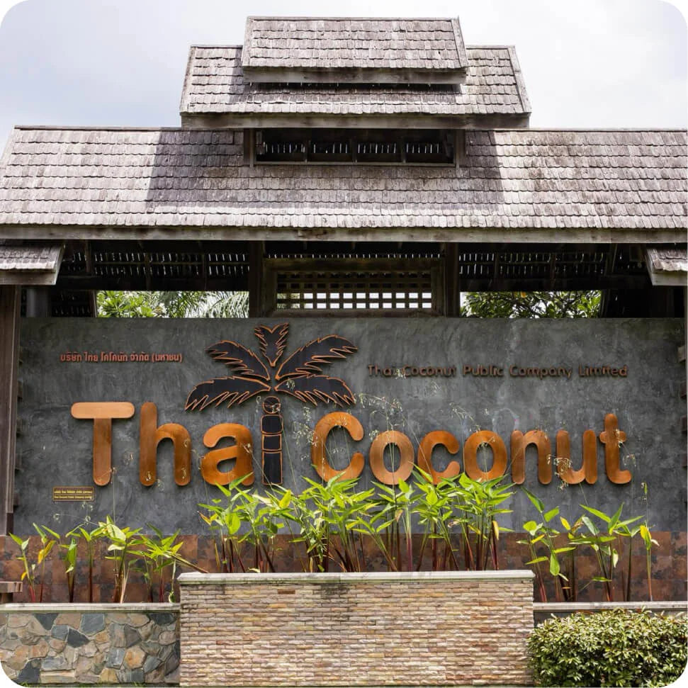 thai coco culture.webp__PID:92734b67-d8c9-48b3-9041-34b3ccf049f7