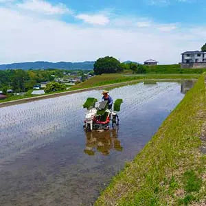 名木イサム