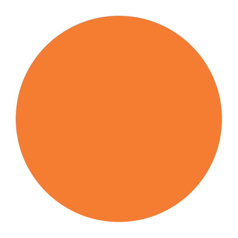 Variant - Blaze Orange