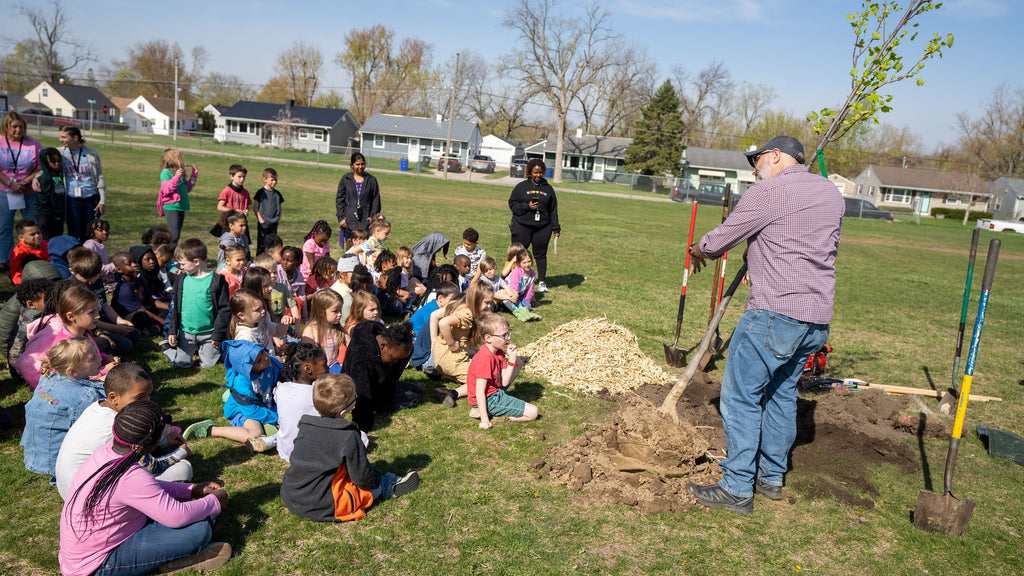 How to celebrate Arbor Day sustainably