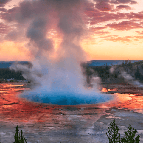 Yellowstone