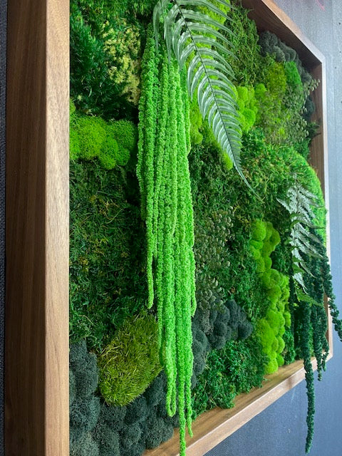 The Forgotten Forest' Moss Wall Art by Moss Art Installations