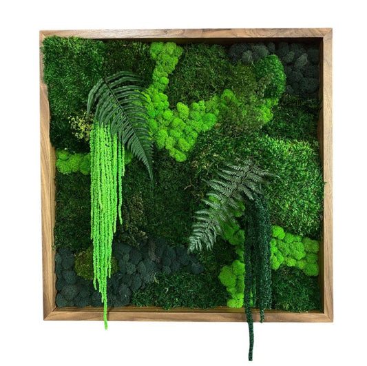 The Forgotten Forest' Moss Wall Art by Moss Art Installations