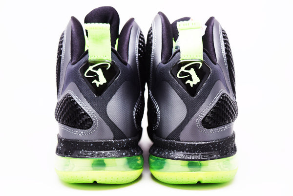 lebron 9 dunkman