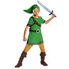 Picture of Link Classic Costume, Large (10-12)