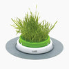 Picture of Catit Senses 2.0 Cat Grass Planter, Interactive Cat Toys
