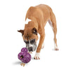 Picture of PetSafe Busy Buddy Barnacle - Dog Chew Toy - Treat Dispensing Dog Toys Purple Large