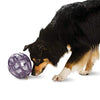 Picture of PetSafe Busy Buddy Kibble Nibble Meal Dispensing Dog Toy, Small - PTY00-13739,purple