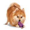 Picture of PetSafe Busy Buddy Barnacle - Dog Chew Toy - Treat Dispensing Dog Toys Small