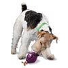 Picture of PetSafe Busy Buddy Twist 'n Treat Dispensing Dog Toy - Medium,Purple,Large Breeds