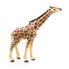 Picture of Papo -Hand-Painted - Figurine -Wild Animal Kingdom - Head Raised Giraffe -50236 -Collectible - for Children - Suitable for Boys and Girls- from 3 Years Old