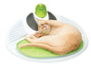 Picture of Catit Senses 2.0 Wellness Center, Interactive Cat Toy