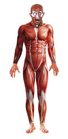 Picture of Smiffys - 21580 - Anatomy Man Costume - Size - Large - 42' / 44'