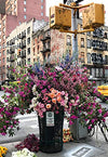 Picture of Ravensburger Puzzle Moment: Flowers in New York 300 Piece Jigsaw Puzzle for Adults - 12964 - Every Piece is Unique, Softclick Technology Means Pieces Fit Together Perfectly