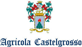 https://cdn.shopify.com/s/files/1/0732/9697/0016/articles/brands_11535_castelgrosso_1926.jpg?v=1709024054