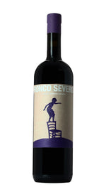 Merlot Ronco Severo 2023