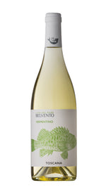 Vermentino Belvento 2024