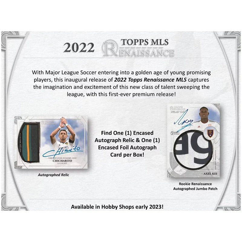 MLS RENAISSANCE CASE HIT DRAFT #3