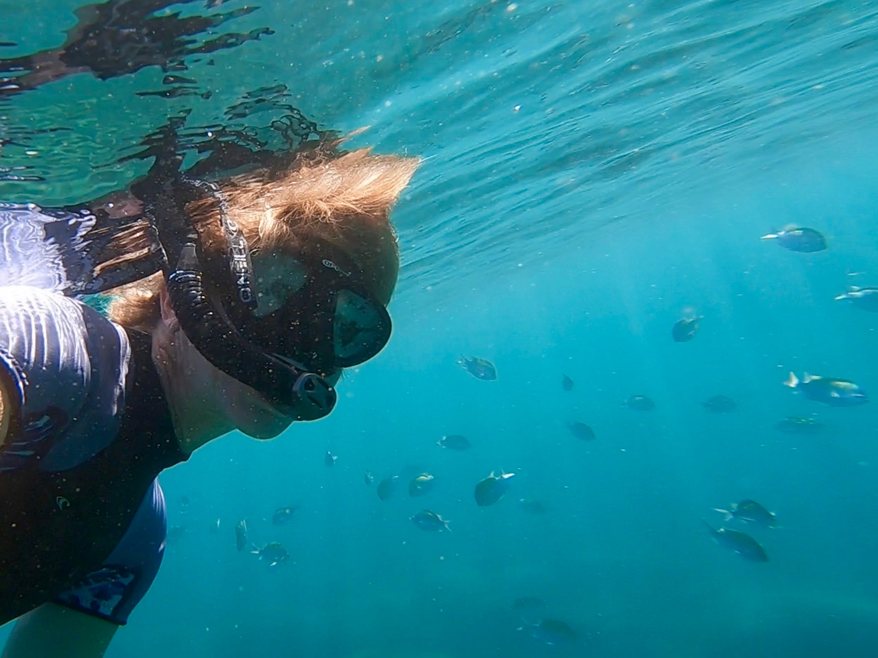 Snorkeling