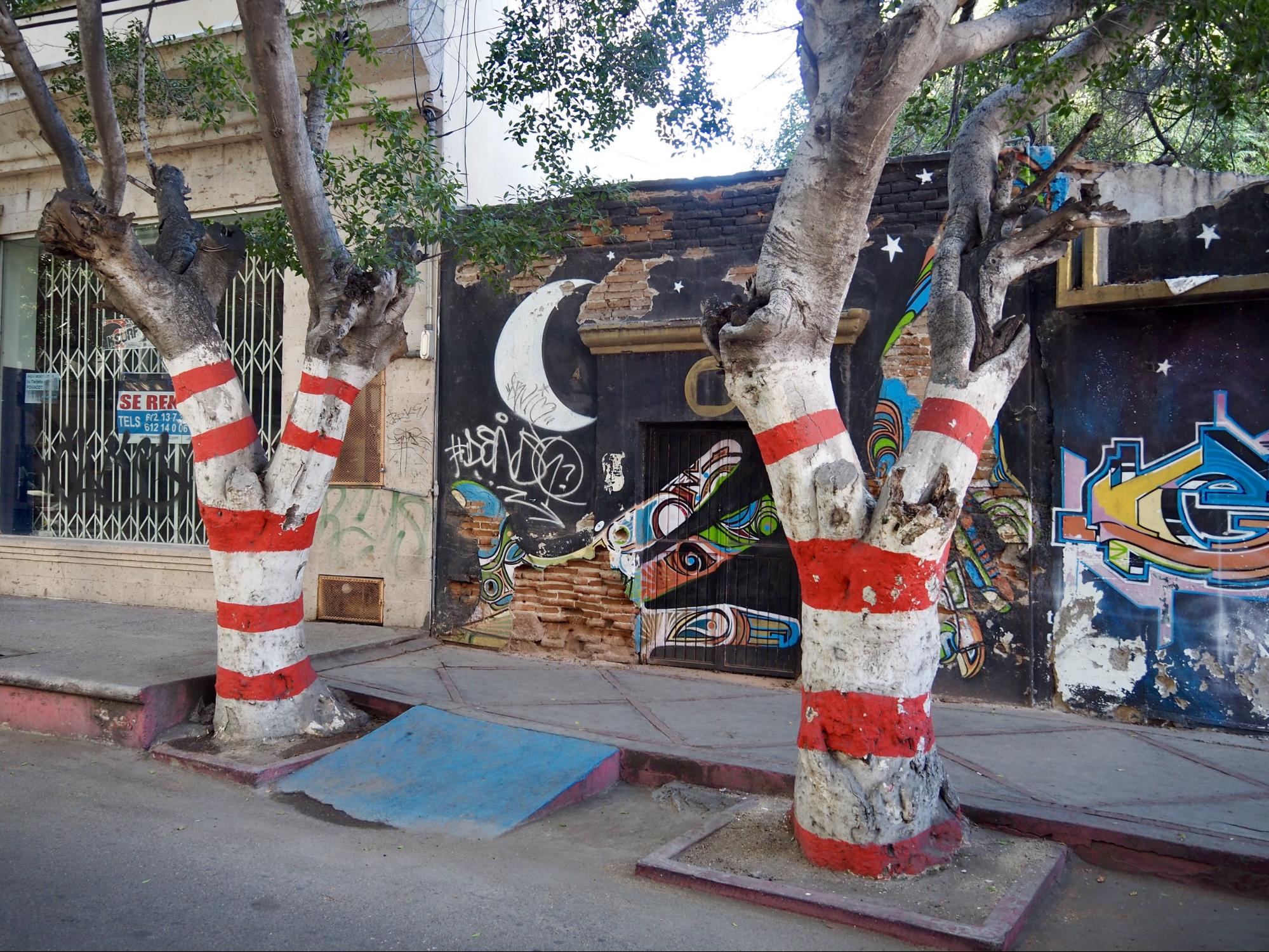 La Paz painted trees