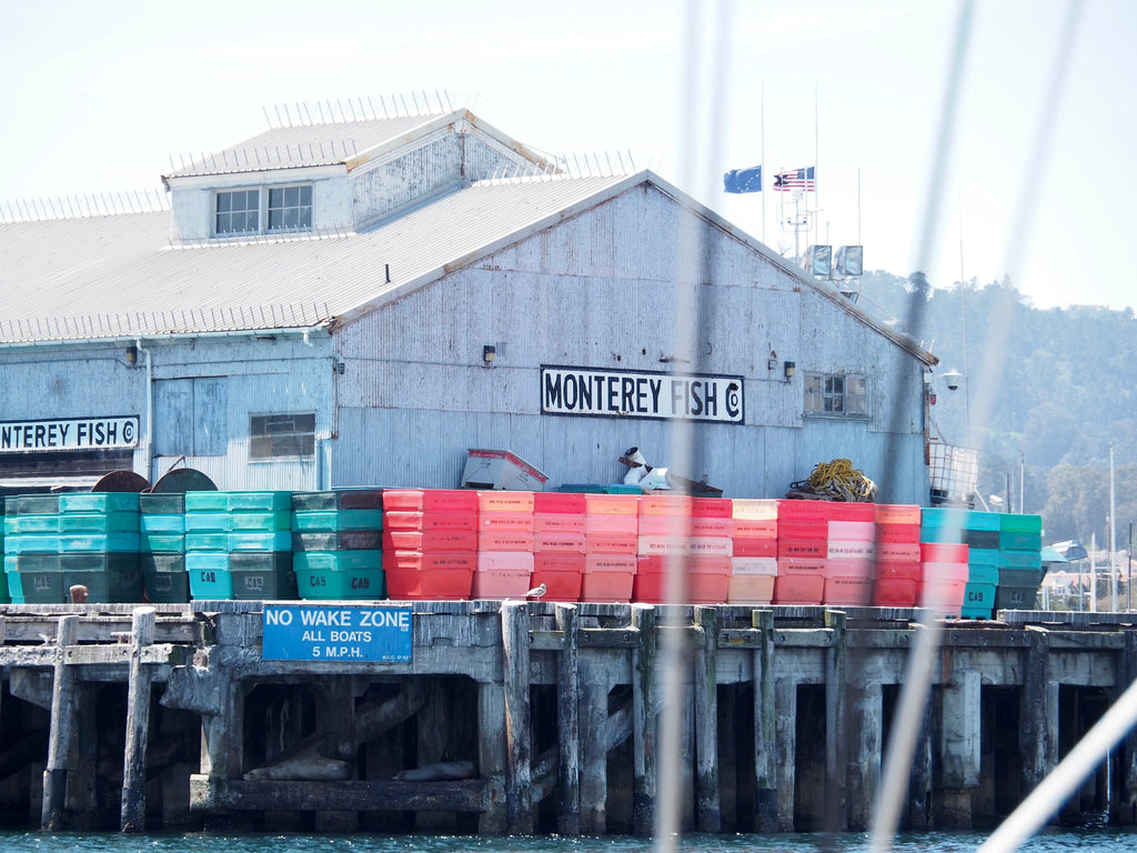 Monterey Fish Company