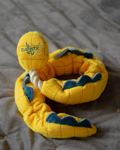 A snake-shaped tug-of-war elastic toy for dogs up to 30 Kg.