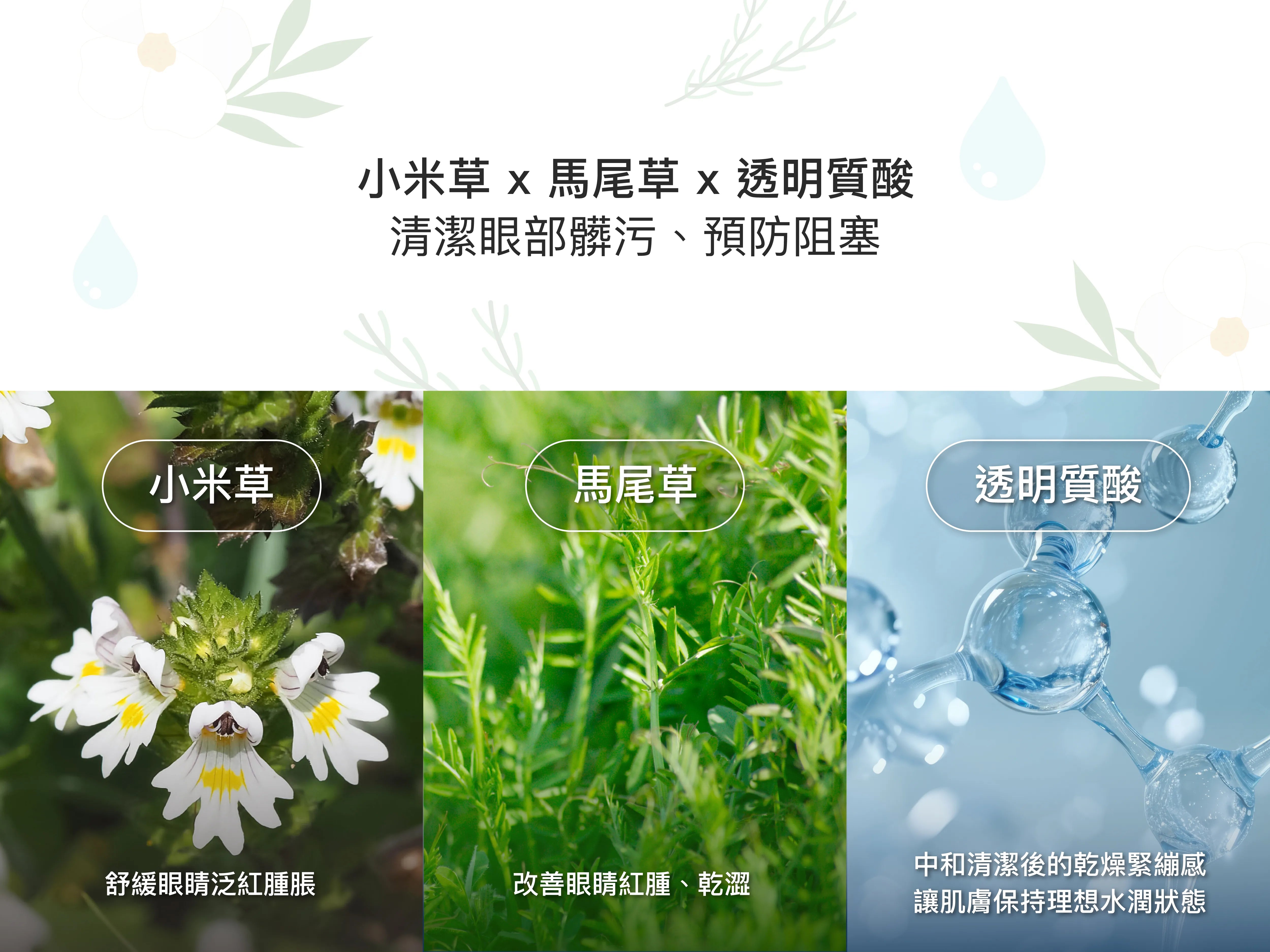 倍視明眼瞼清潔棉片成分介紹